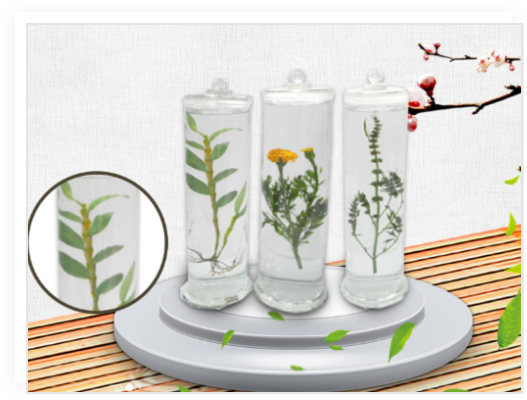 昆蟲(chóng)分類標(biāo)本_植物病害標(biāo)本_生物顯微玻片_蝴蝶標(biāo)本_新鄉(xiāng)市禾力教學(xué)設(shè)備有限公司